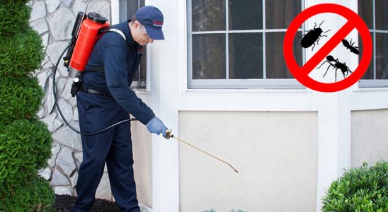 Dargeçit Bit İlaçlama böcek ilaçlama ve haşere kontrolü — ilaclama-tr.com